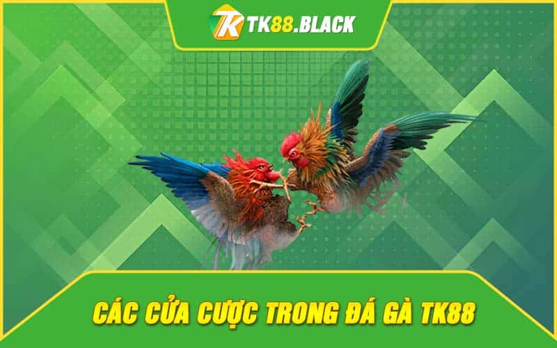 Các cửa cược trong đá gà TK88